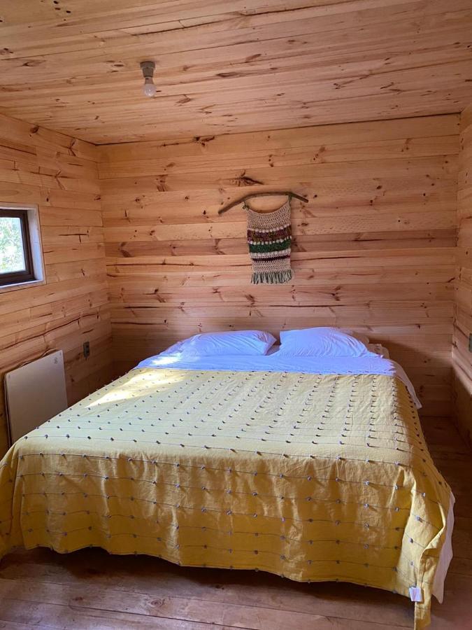 River Lodge Pucon